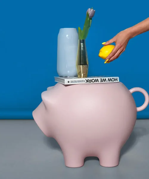 CAMPAIGN_SP012_Werkwaardig_sidepig_babypink